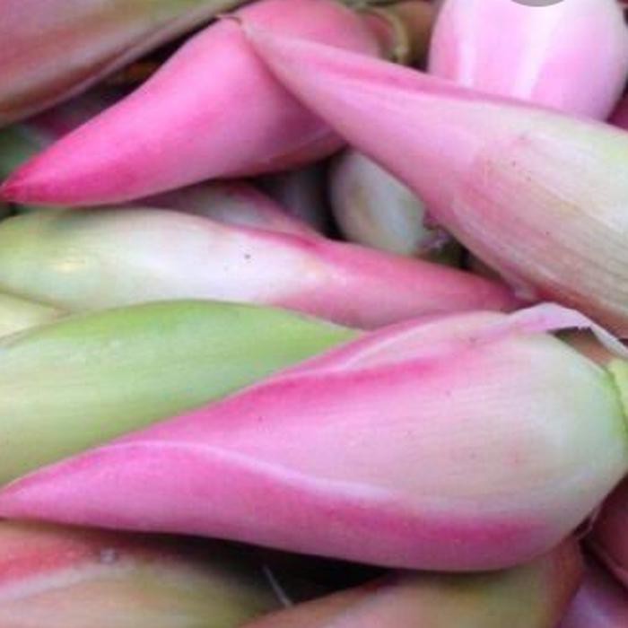 

kincung/ kecombrang 250g BERKUALITAS