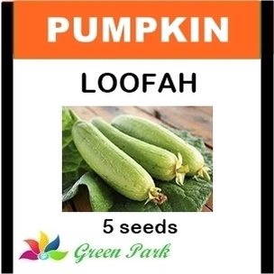 Benih Biji Loofah - Luffa Pack - GP