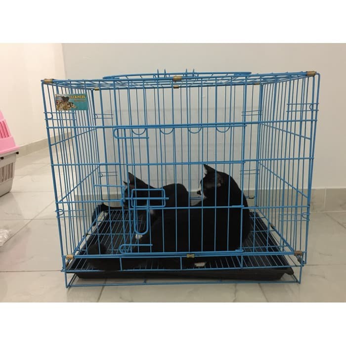 KANDANG KUCING ANJING KELINCI MUSANG BURUNG HAMSTER BESAR MURAH L-1
