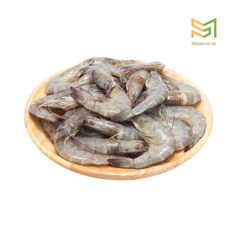 

Udang Vannamei Segar Per Pack