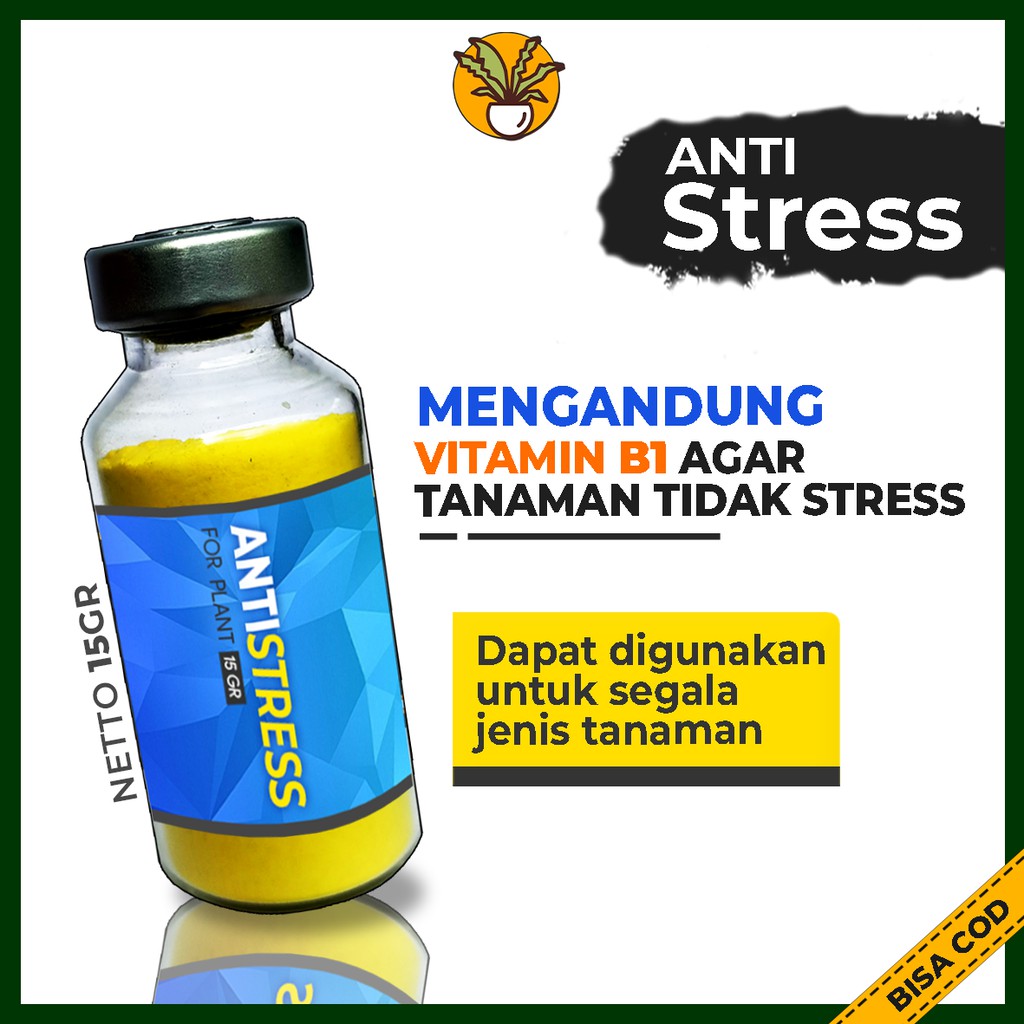 Vitamin B1 untuk Tanaman Obat Anti Stress Tanaman Hias Aglonema Monstera Variegata Caladium