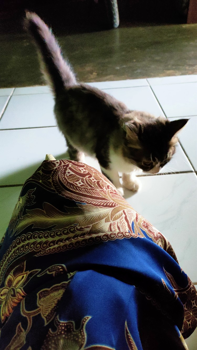 Kemeja Batik Semi Sutra Silky Berfuring Kantong Paspol Dan Bawah Kanan Kiri Busa D Pundak Pekalongan