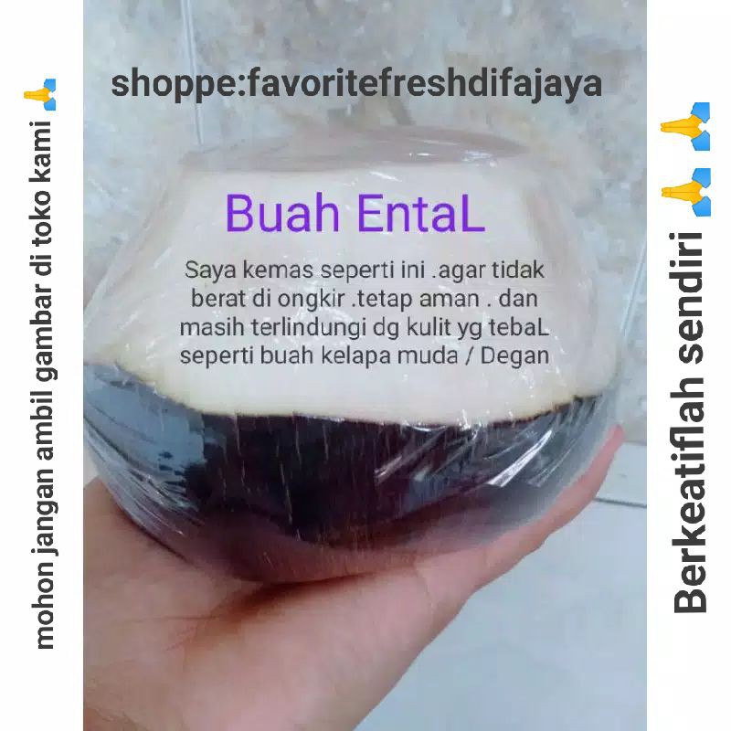 

Buah Siwalan ental lontar muda fresh langsung petik 5 buah 1 buah isi 3 biji total nya 15 biji