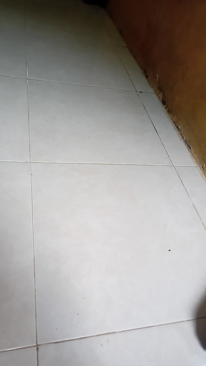 Sikat Nagoya Angle 909