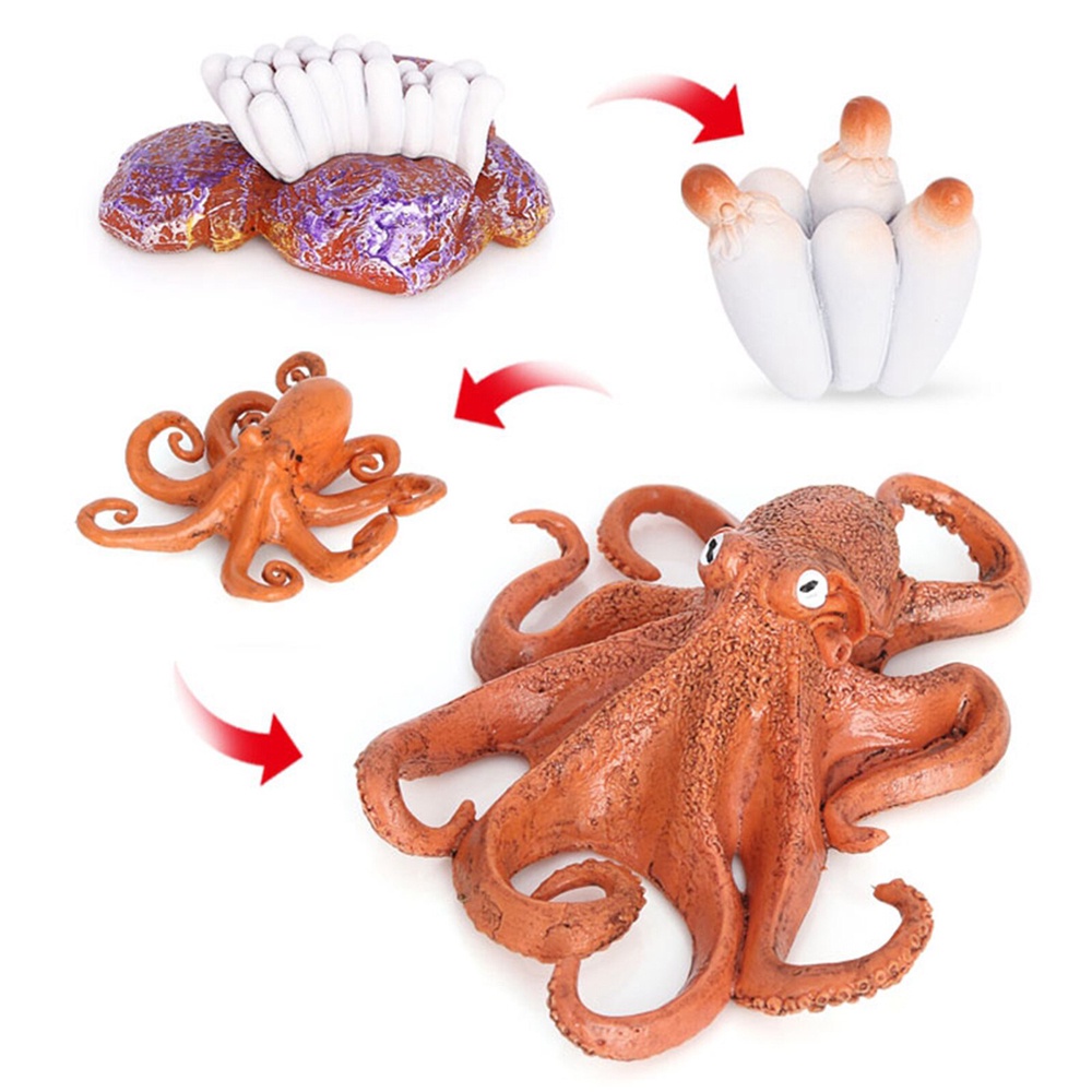 QUINTON Sea Life Salmon Kids Gifts Octopus Realistic Life Cycle Earthworm Simulation Insect Collect Science Plastic Animals Figurines Growth Cycle Model