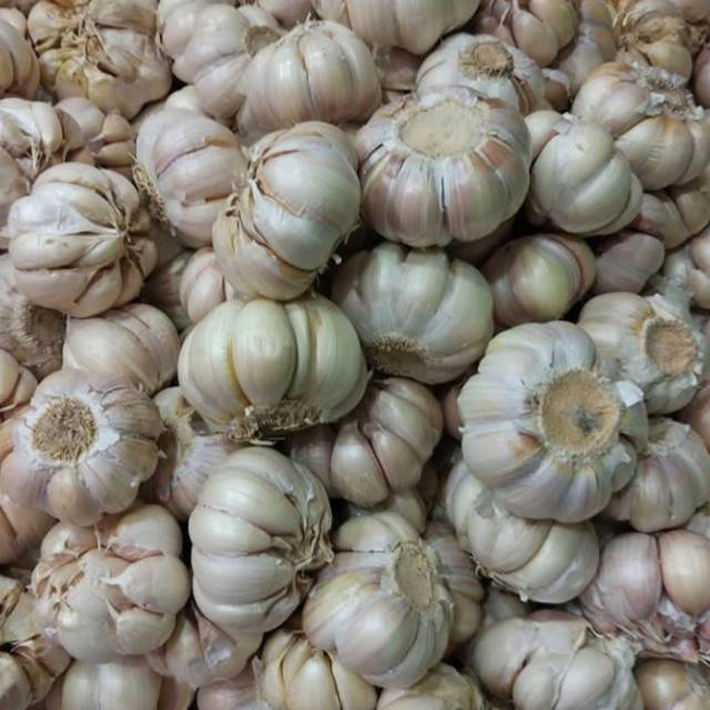 

Jual bawang putih kiloan TERMURAH !!!