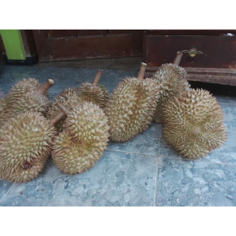 

Durian Lezat