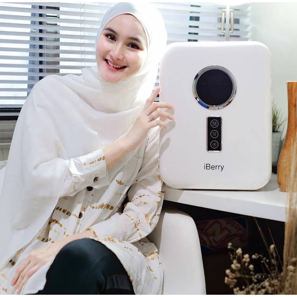 iBerry Portable UV Sterilizer with Dryer 10L - Steriliser Bayi Disinfection Disinfectant Kotak Pembersih