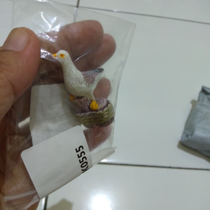 74 Gambar Burung Camar Laut Gratis Terbaru