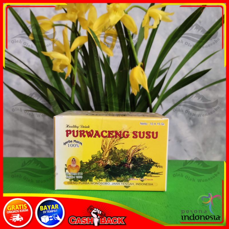 PURWACENG DIENG PURBA MINUMAN HERBAL