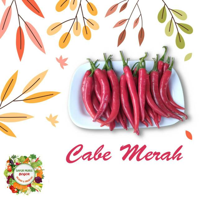 

CABAI MERAH SEGAR / 250gr