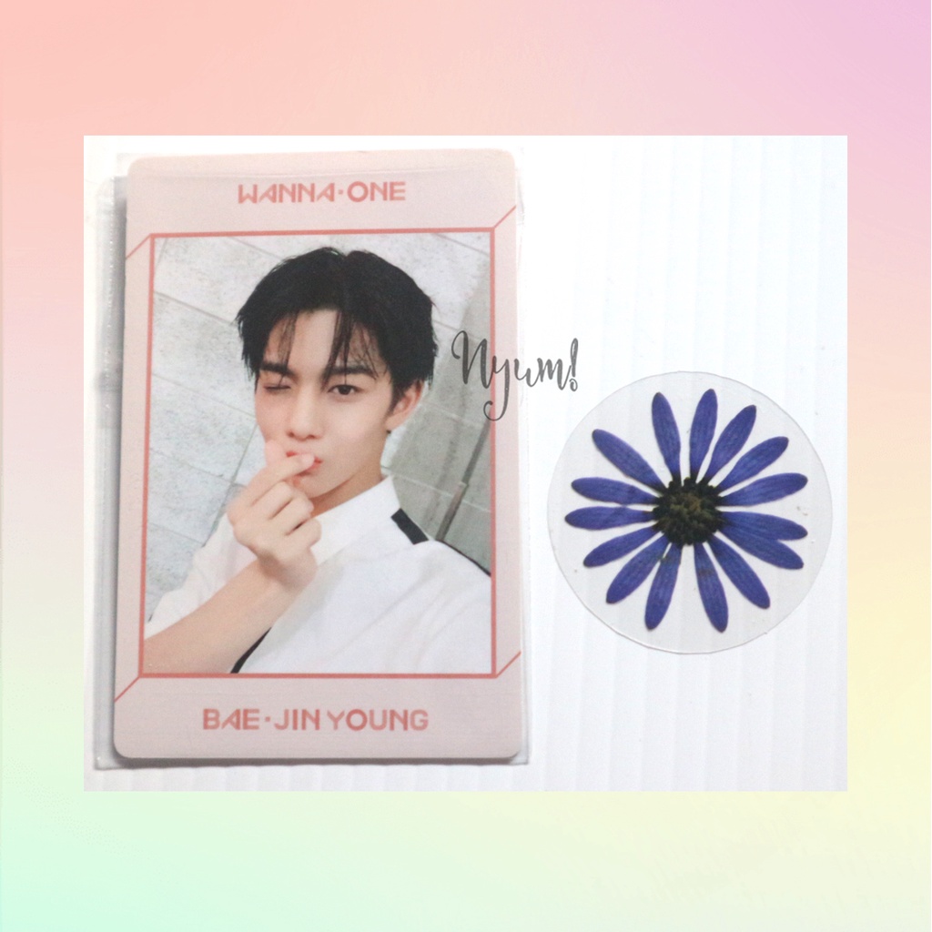 PC Bae Jinyoung Baejin Wanna One Undivided Art Book Ver Versi - Cha Eunwoo ASTRO Nunu Blue Flame Pho