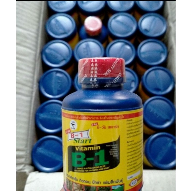pupuk cair B1 vitamain tanaman