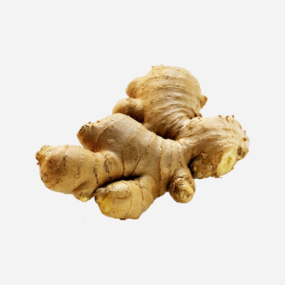 

Jahe Segar 500 gr & 1 kg