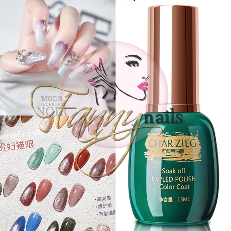 CHARZIEG GEL POLISH 9D 15ml SILVER CAT EYE GEL POLISH KUTEK GEL SILVER CATEYES GEL 15ML ZMER TAHAN LAMA