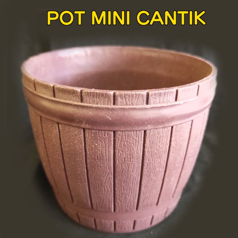 Pot Kecil Mini Untuk Pembenihan Tanaman Hias Cantik Murah