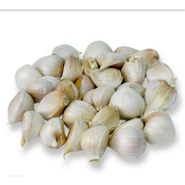 

bawang putih kating 1 kg