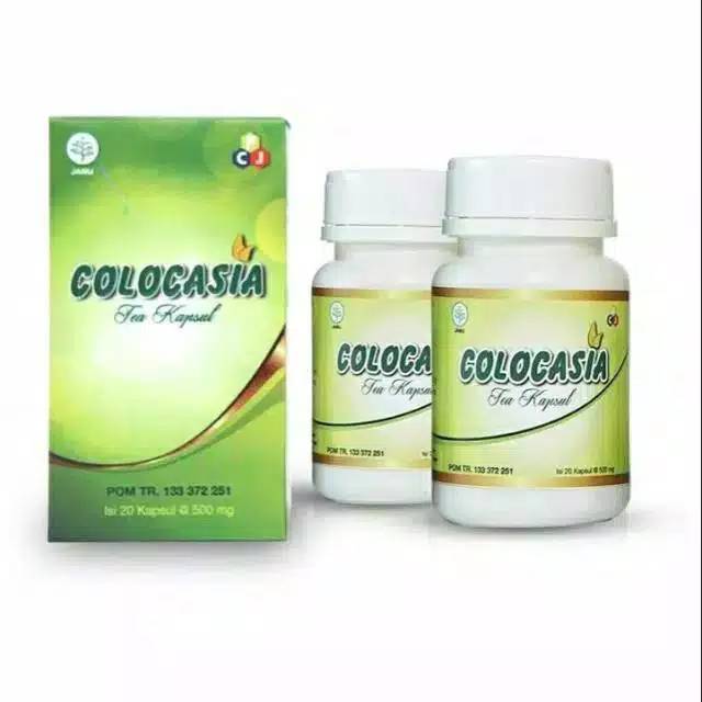 Colocasia Lejel Asli Obat Sendi Terlaris Original BPOM
