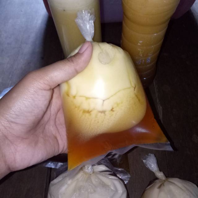 

Madu asli lebah hutan