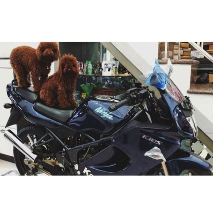 New striping stiker full set ninja rr old biru Dongker 2009 original