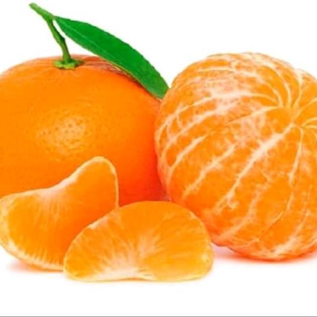 Bibit jeruk mandarin