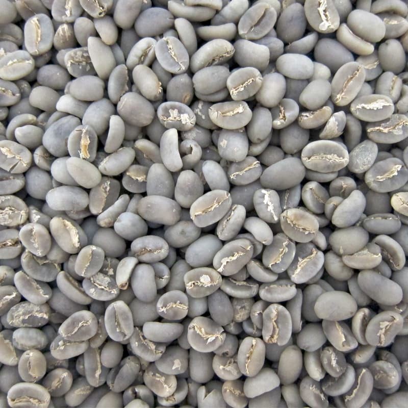 Kopi Greenbean Robusta dan Arabika Biji Kopi harga per Kilo