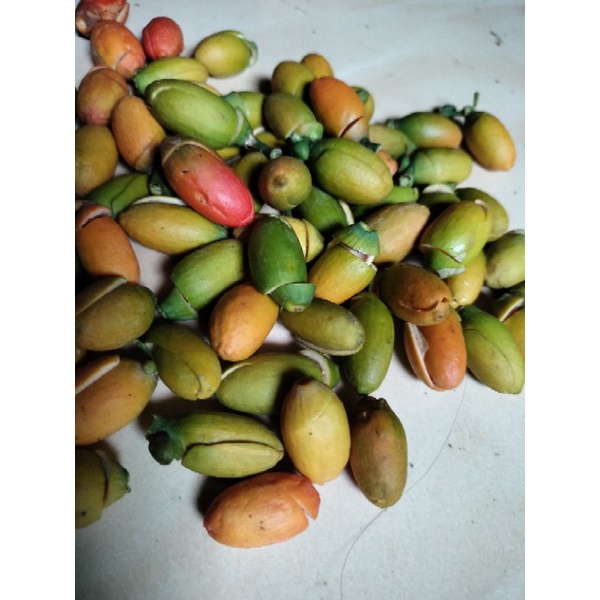 

PROMO kulit melinjo mentah 1 kg segar