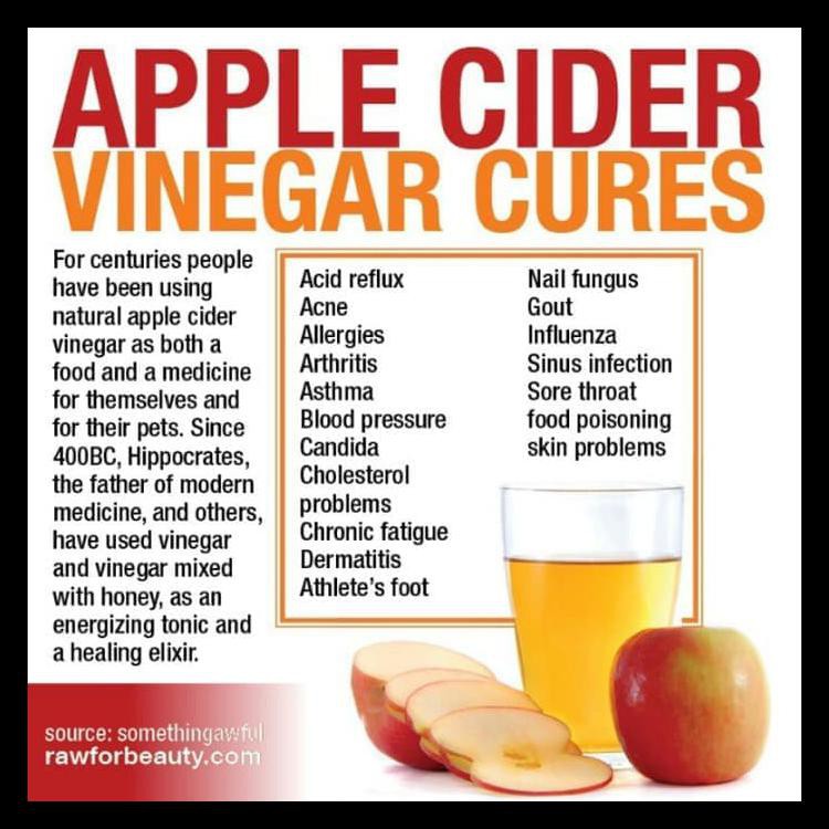 

BAYAR DI TEMPAT BRAGG APPLE CIDER VINEGAR 473ML / CUKA APEL BRAGG KODE 122