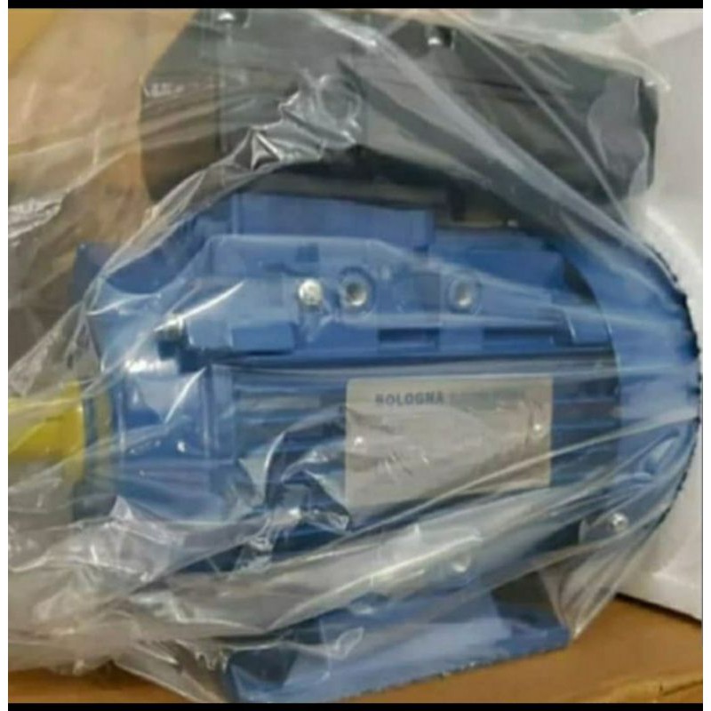 dinamo pengerak electro motor bologna 50hp/3phase/2pole/b3