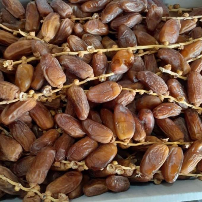 

PROMO kurma tunisia tangkai 5kg terlaris/KURMA 1KG/KURMA BARARI/KURMA RUTHOB/KURMA BAM/KURMA PALM FRUIT/KURMA TANGKAI/KURMA AZWA/KURMA SUKKARI/KURMA SAFAWI/KURMA TUNISIA/KURMA MUDA KUNING/KURMA MUDA HIJAU/KURMA MEDJOL/KURMA MADINAH SUPER