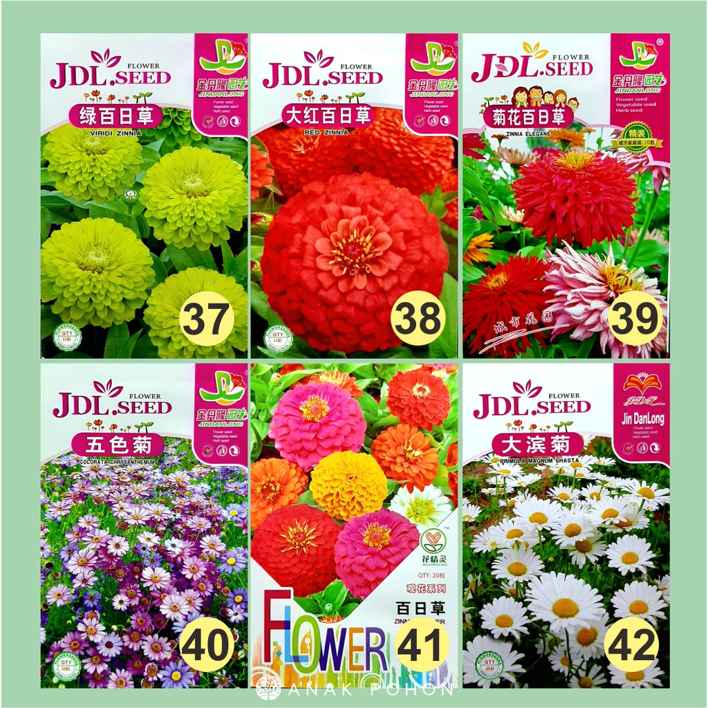 Benih Aneka Bunga Flower JDL Seed Retail Pack - Tipe B