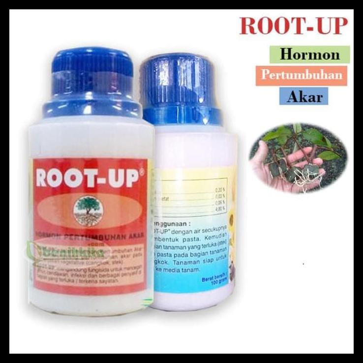 Hormon Root Up Root-Up Zpt Hormon Pertumbuhan Akar 100 Gram