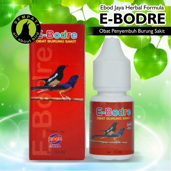 E Bodre Ebod Jaya Obat Burung Sakit Infeksi Saluran Kemih Penyakit