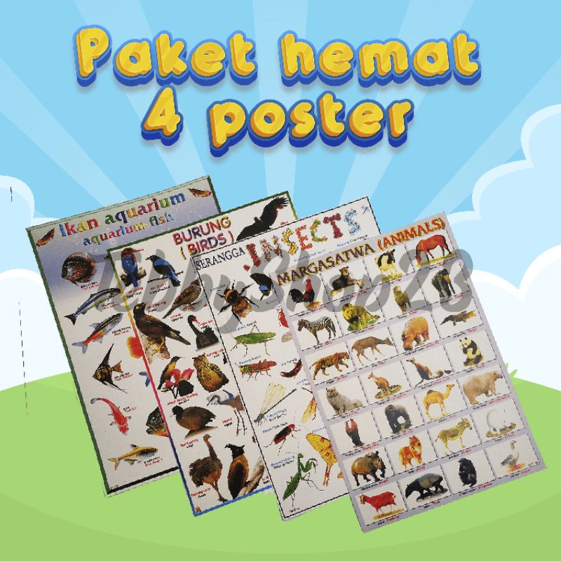 Paket hemat 4 Poster Hewan margasatwa,ikan,burung,Serangga, poster dinding