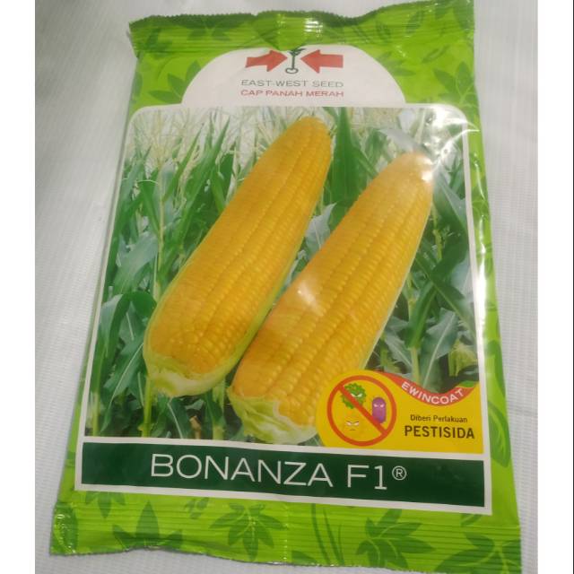 Jagung BONANZA F1