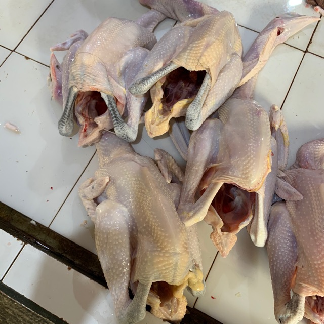 

Ayam kampung 1 ekor