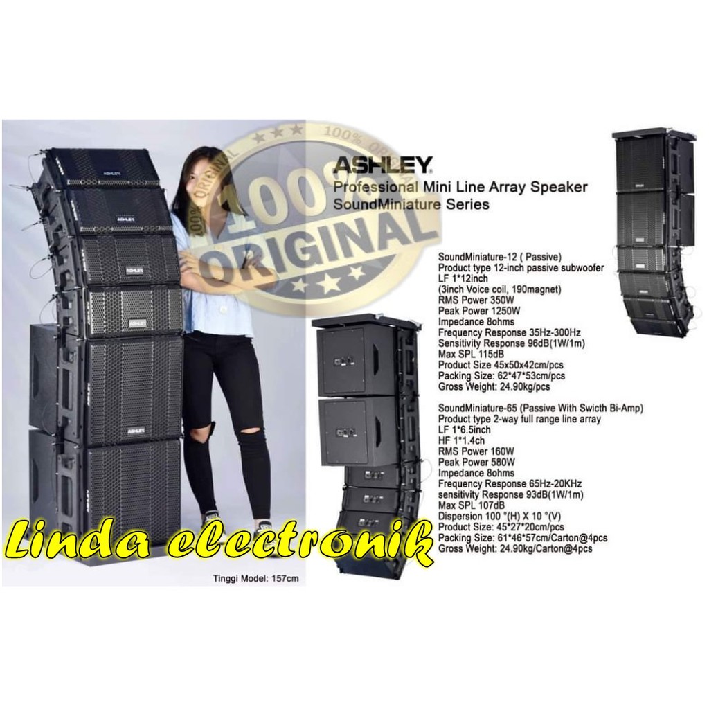 PAKET PROFESIONAL MINI LINE ARRAY ASHLEY SPEAKER SOUNDMINIATURE SERIES