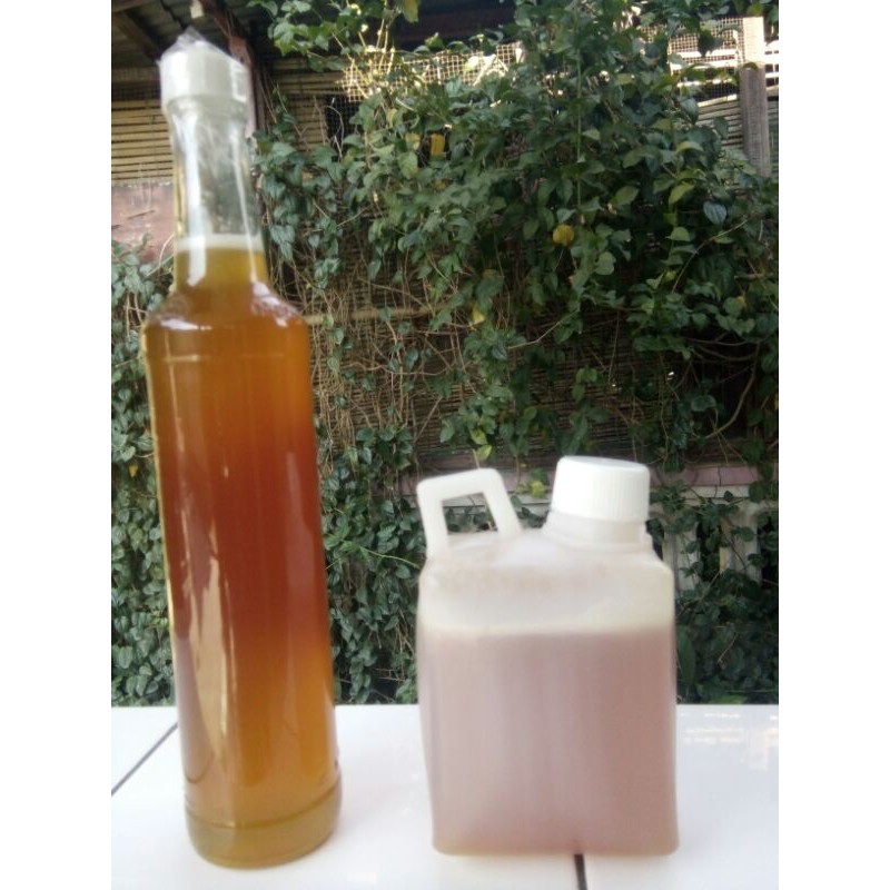 

Madu Asli jatisono