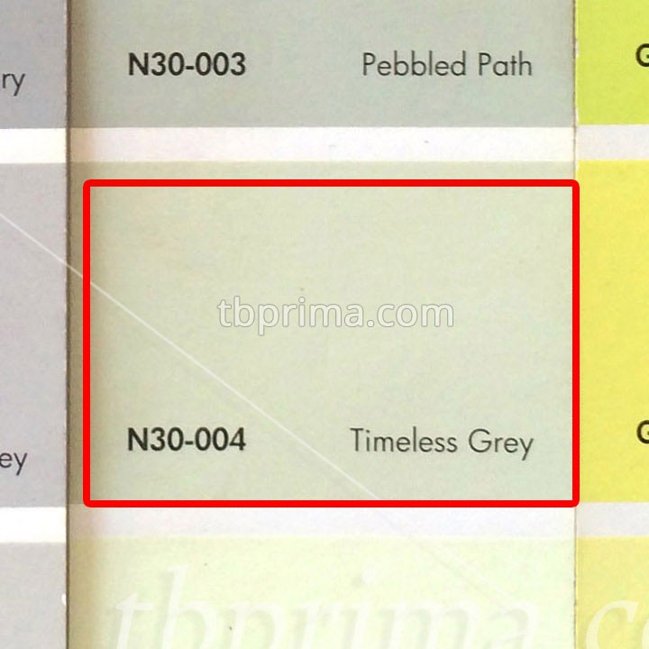 No Drop Tinting N30-004 Timeless Grey 4 kg