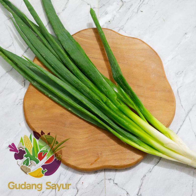 

Gudang Sayur - Daun Bawang Segar 1 ikat