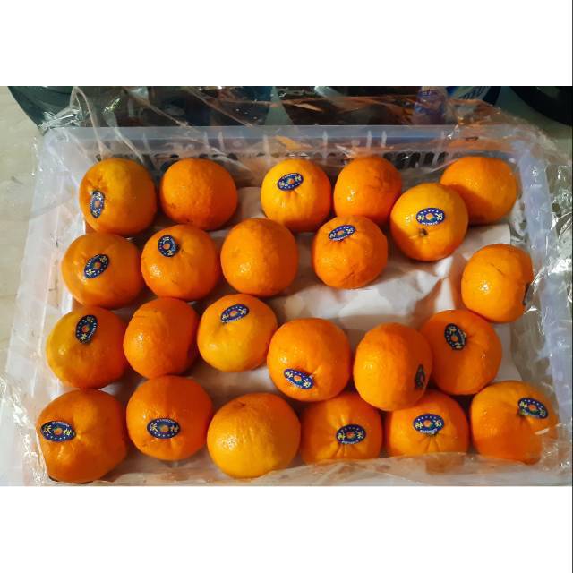 

JERUK FRESH WOKAM IMPORT TERMURAH