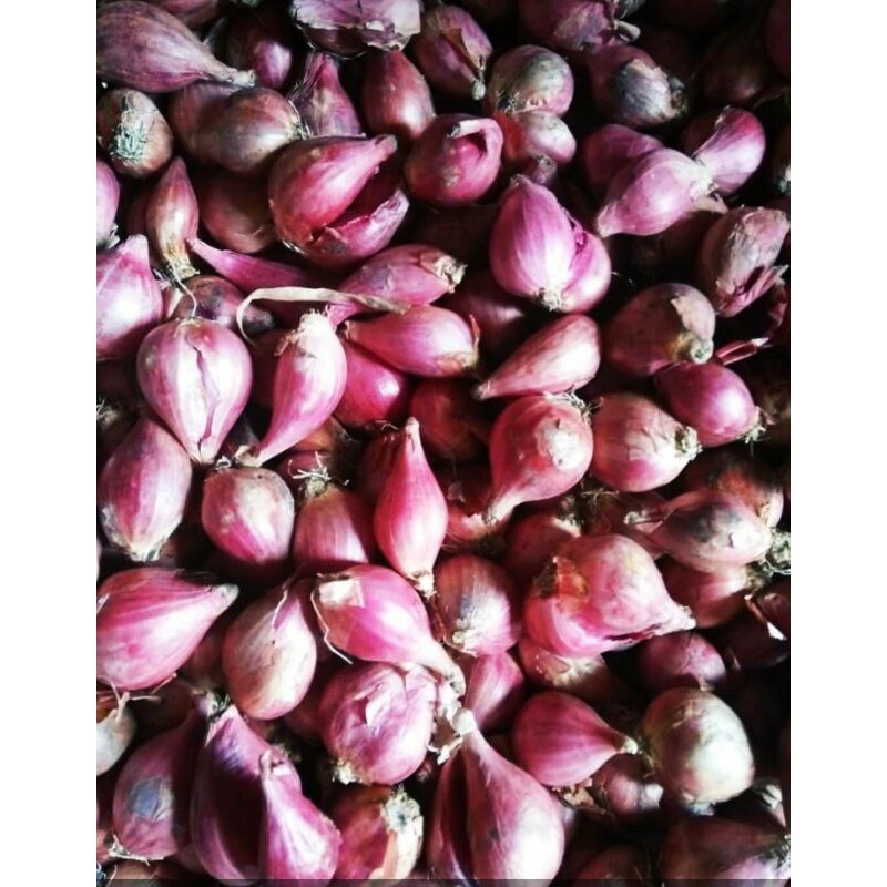 

Bawang Merah Brebes (Kering)