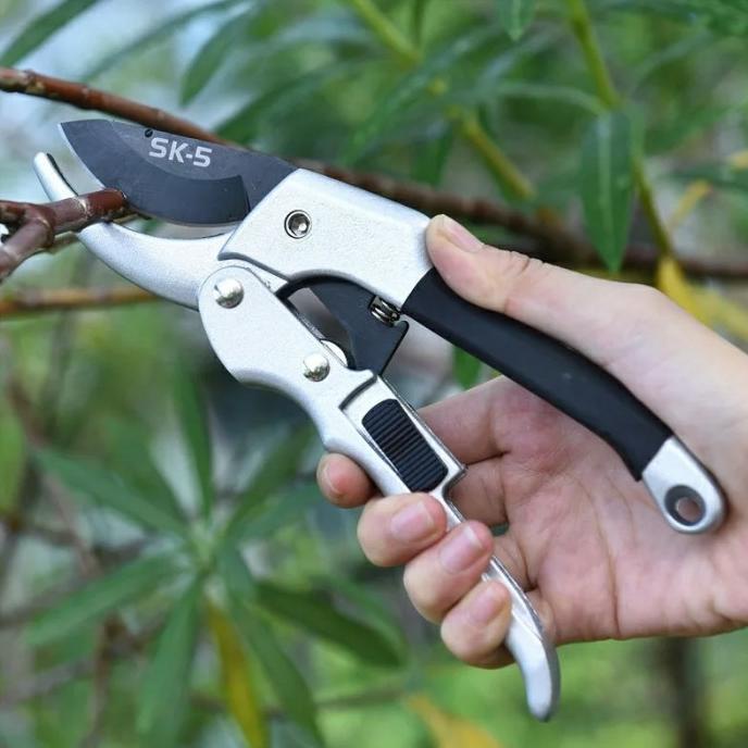 TERMURAH Gunting Ranting Dahan Pohon Bunga Tanaman Kecil Rumput Taman Kebun