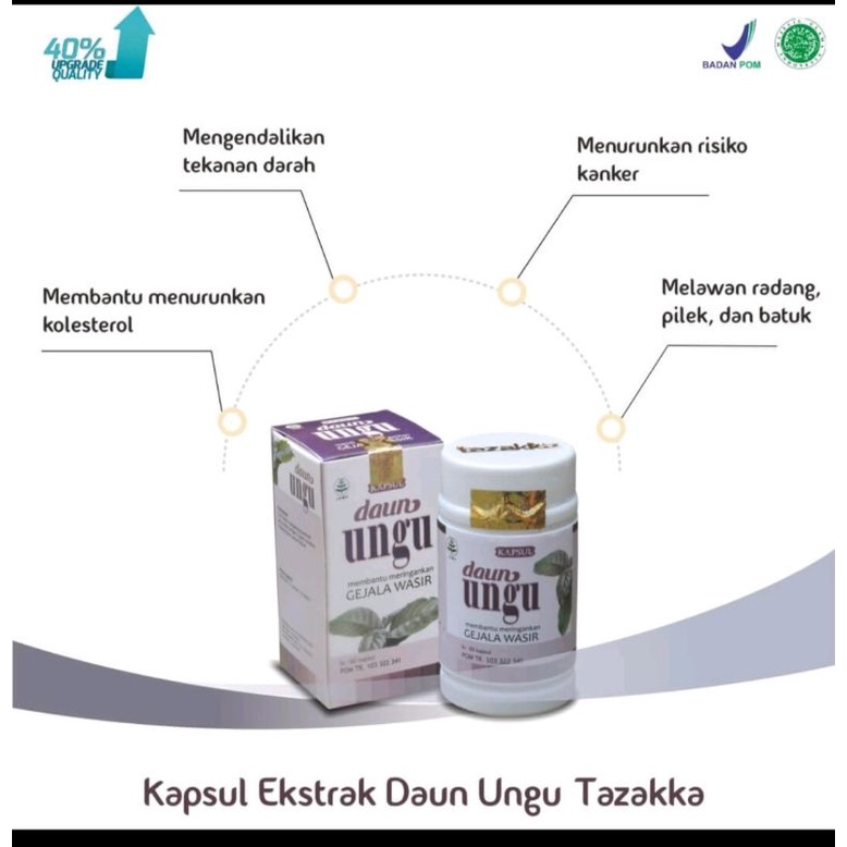 

Kapsul Ekstrak Daun Ungu Tazakka 60kps | Mengobati Wasir Ambeien