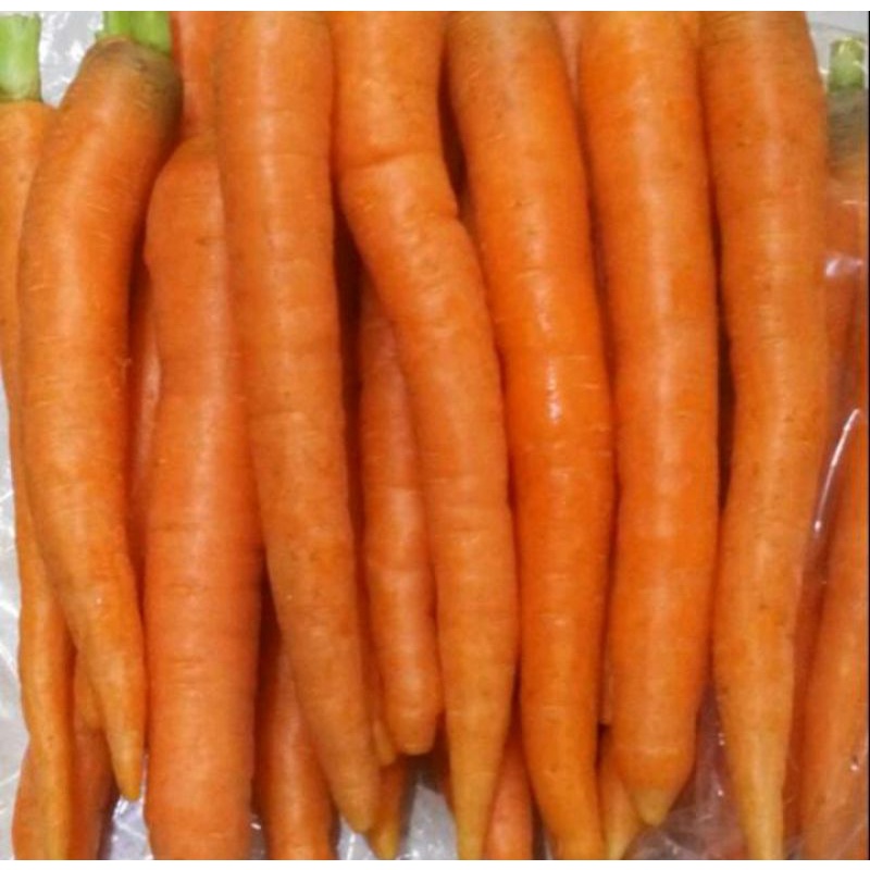 

Wortel Organik ~500g