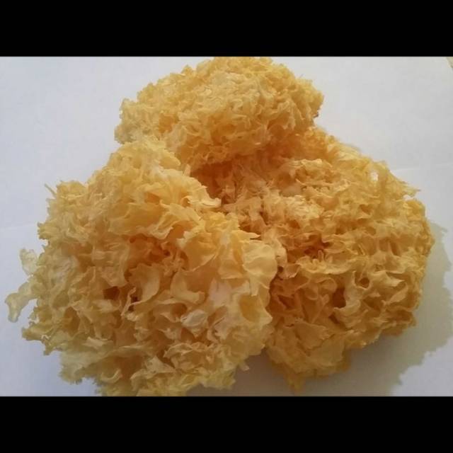 

Jamur putih/bokni putih/bai mu erl/snow fungus