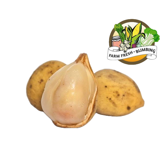 

Duku Palembang Manis 500 gram