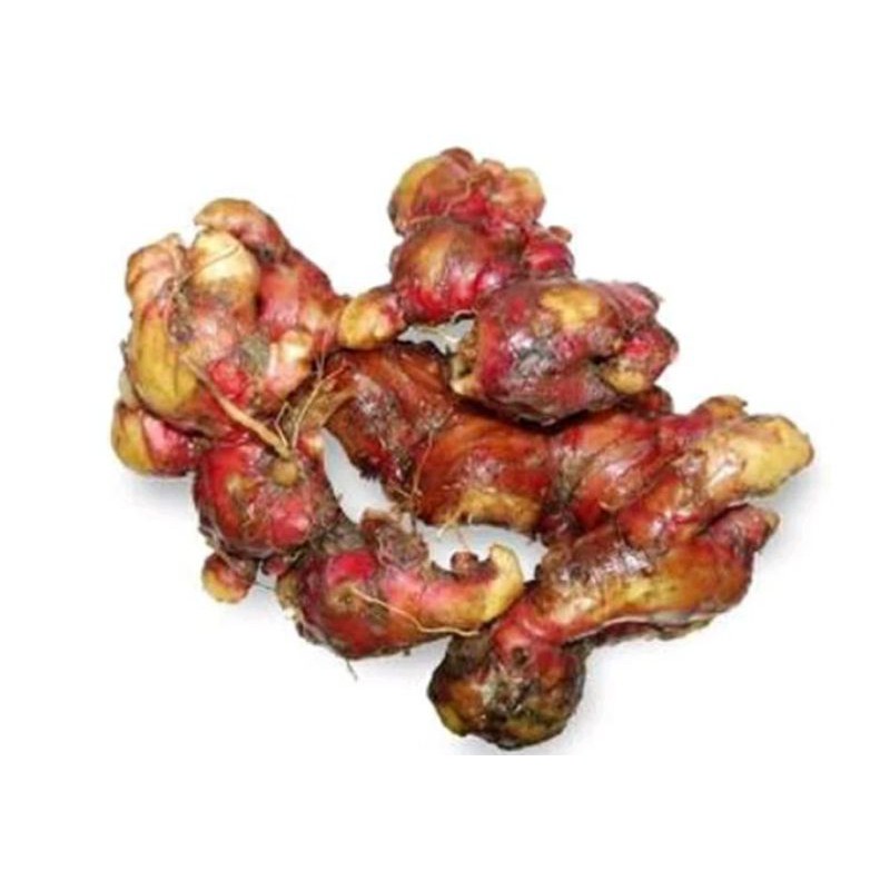 

jahe merah 250 gram