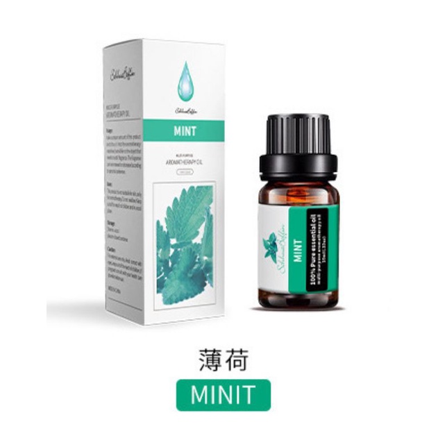 Aromatherapy Essential Oil Diffuser pengharum Ruangan Humidifier Aromatherapi Essential Oil Diffuser Pengharum Pewangi Ruangan-BQ-OIL - MINT