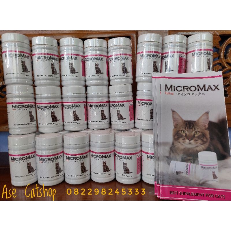 micromax termurah